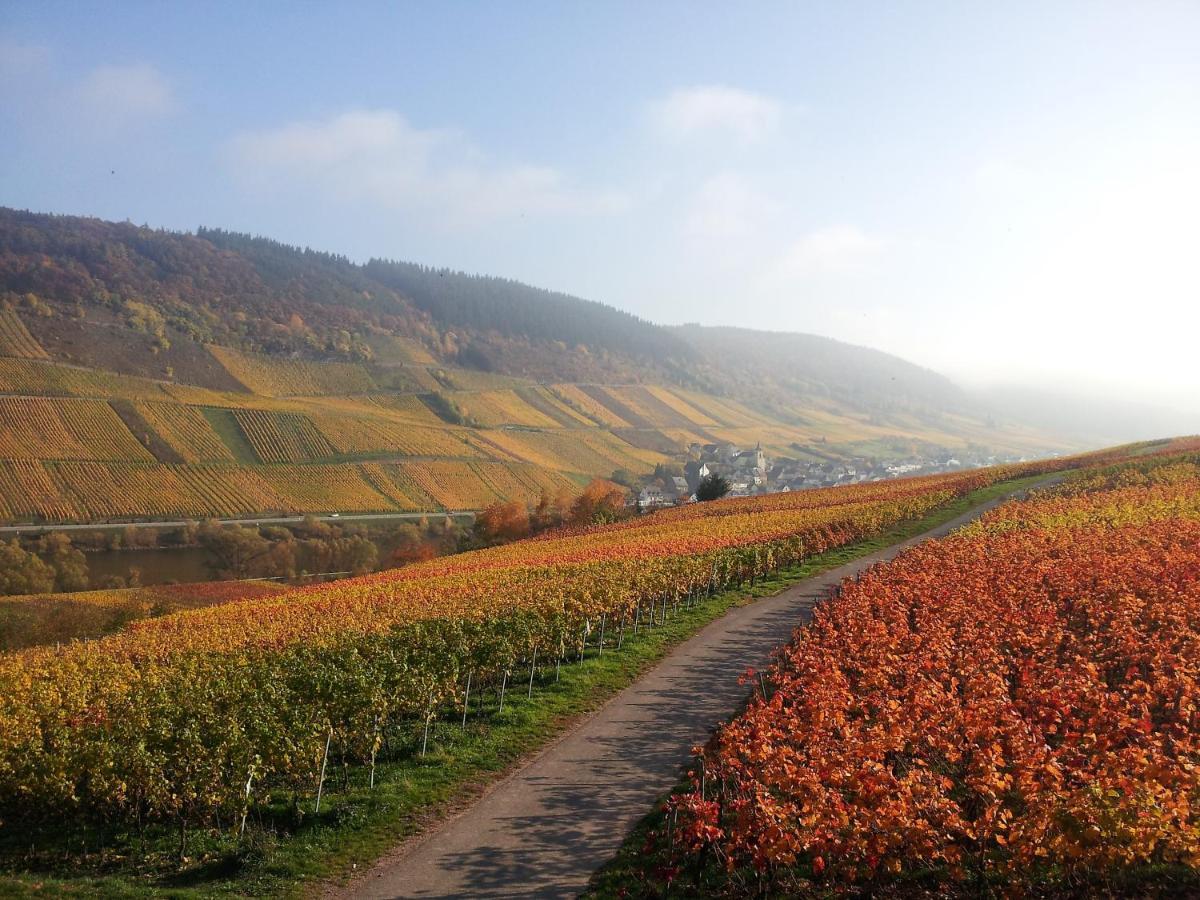 Weingut-Brennerei-Gaestehaus Emil Dauns Reil Bagian luar foto