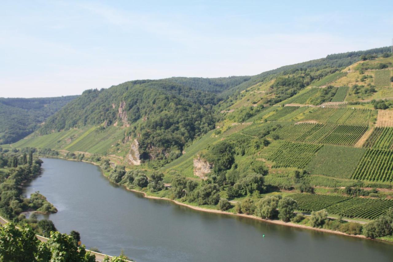 Weingut-Brennerei-Gaestehaus Emil Dauns Reil Bagian luar foto