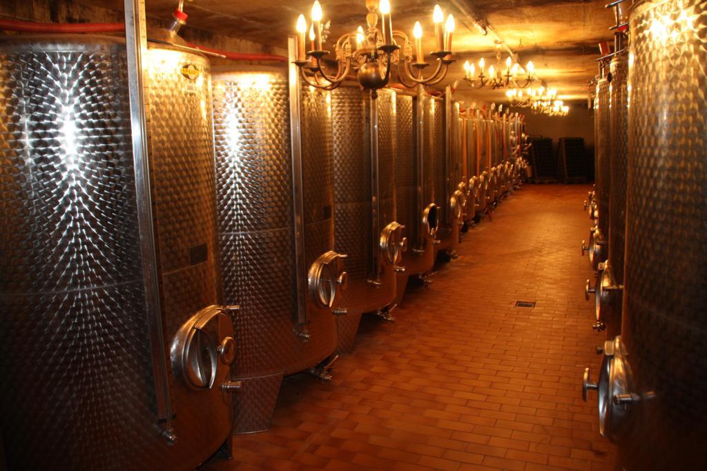 Weingut-Brennerei-Gaestehaus Emil Dauns Reil Bagian luar foto