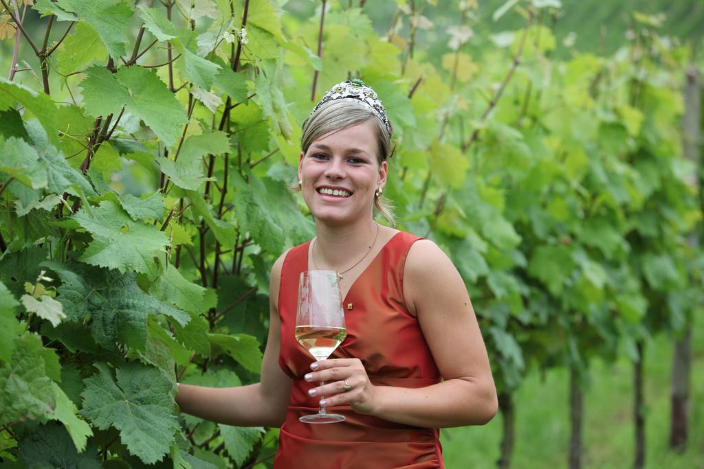 Weingut-Brennerei-Gaestehaus Emil Dauns Reil Bagian luar foto