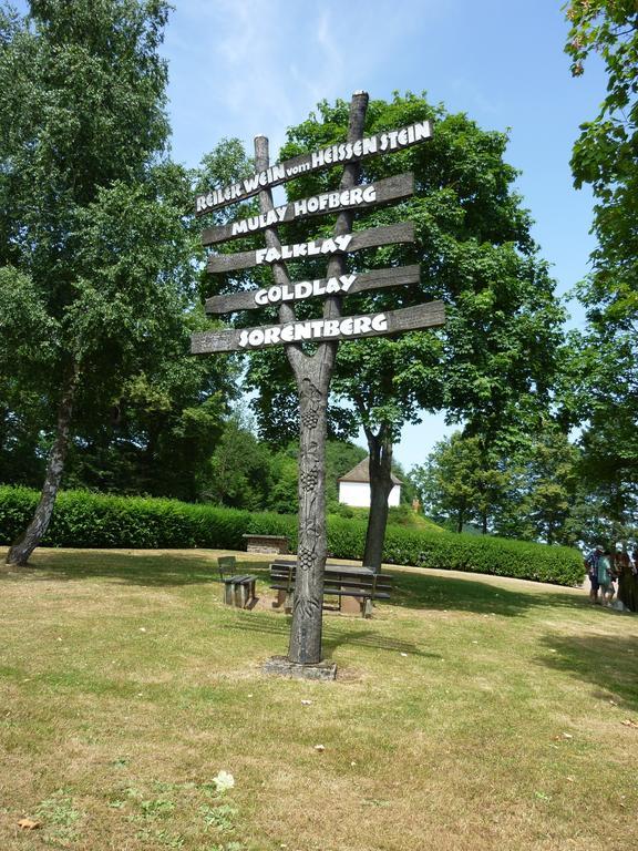 Weingut-Brennerei-Gaestehaus Emil Dauns Reil Bagian luar foto