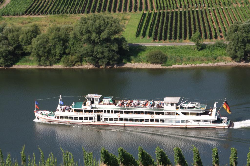 Weingut-Brennerei-Gaestehaus Emil Dauns Reil Bagian luar foto