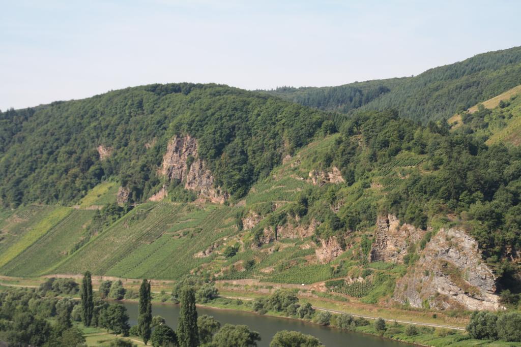 Weingut-Brennerei-Gaestehaus Emil Dauns Reil Bagian luar foto