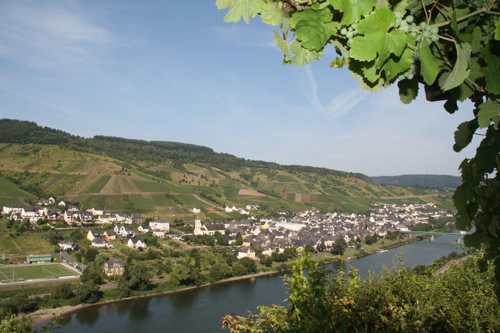 Weingut-Brennerei-Gaestehaus Emil Dauns Reil Bagian luar foto