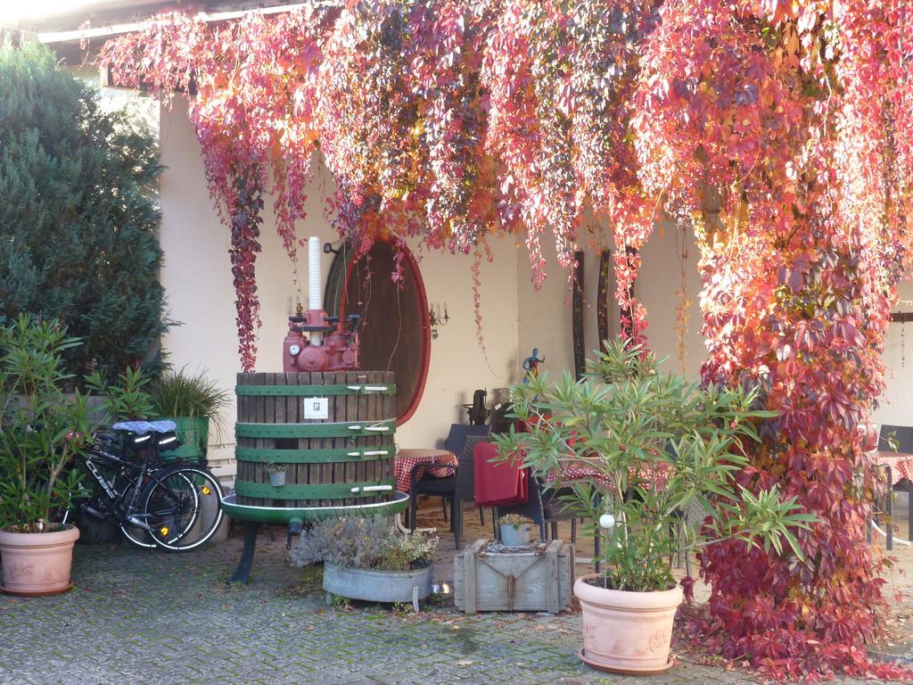 Weingut-Brennerei-Gaestehaus Emil Dauns Reil Bagian luar foto