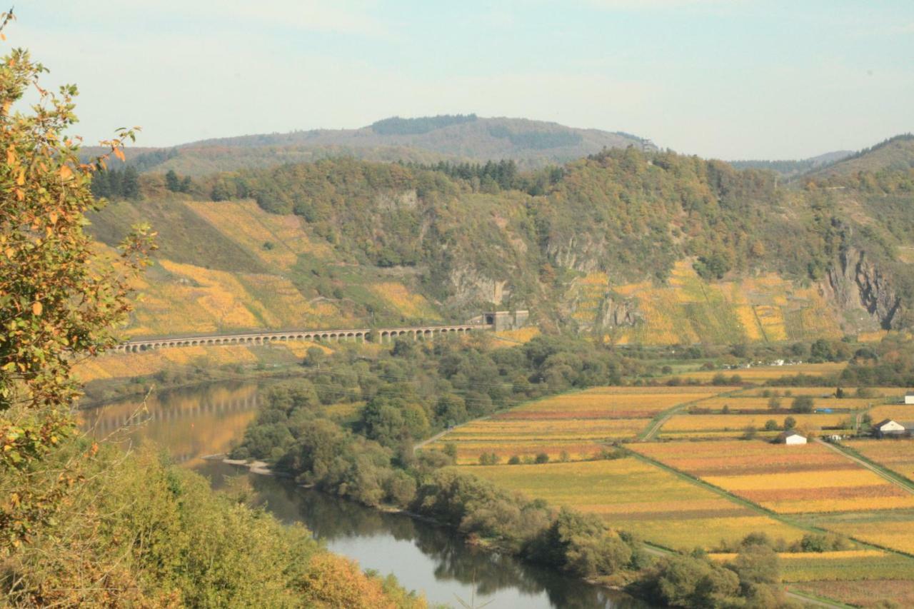 Weingut-Brennerei-Gaestehaus Emil Dauns Reil Bagian luar foto
